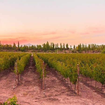 Marale Wines Hotel Boutique Villa Media Agua Dış mekan fotoğraf