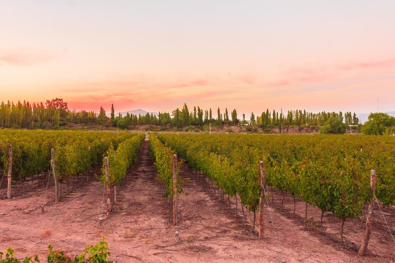 Marale Wines Hotel Boutique Villa Media Agua Dış mekan fotoğraf