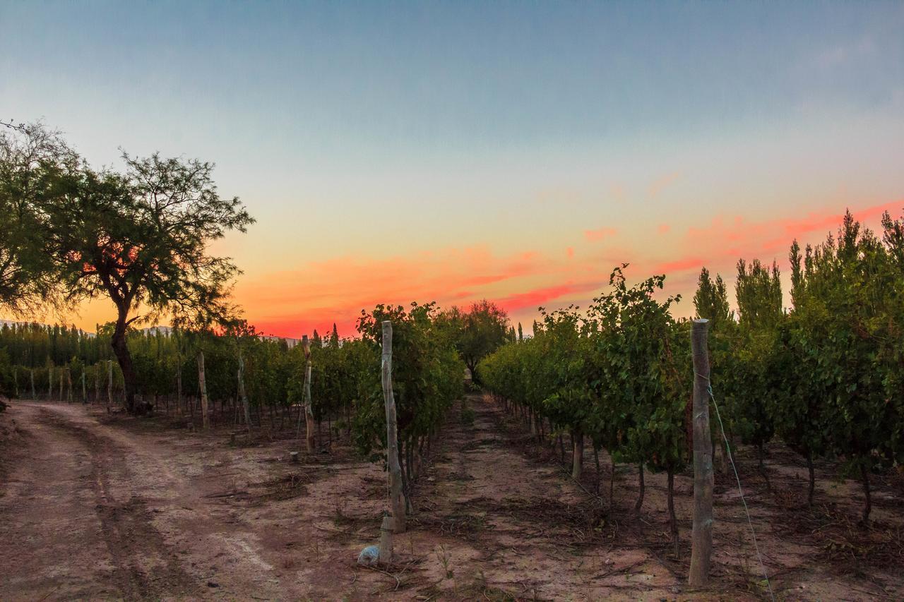 Marale Wines Hotel Boutique Villa Media Agua Dış mekan fotoğraf