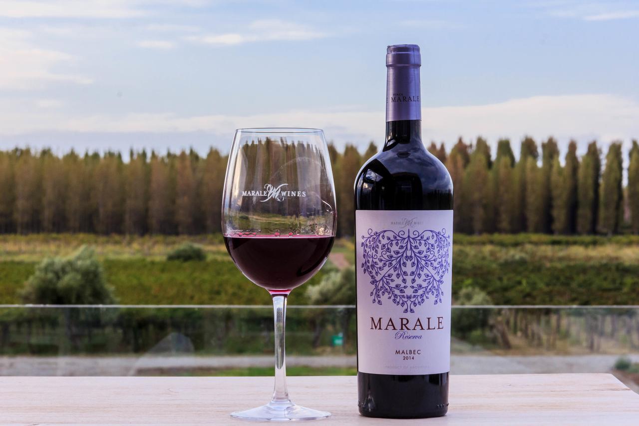 Marale Wines Hotel Boutique Villa Media Agua Dış mekan fotoğraf